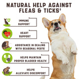 Flea and Tick Prevention Chewable for Dogs   No Collars No Mess   Easy