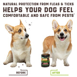 Flea and Tick Prevention Chewable for Dogs   No Collars No Mess   Easy