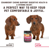 180 Cranberry Chews   Dog Cranberry Supplement   Natural Aid for