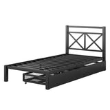 Metal Platform Bed with 2 Drawers, Twin (Black)