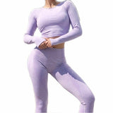 Seamless 2 Pcs Set Women Sport Suit Gym Workout Clothes Long Sleeve