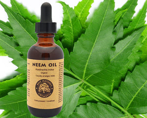 100% Pure Neem Oil 4oz (organic, undiluted)