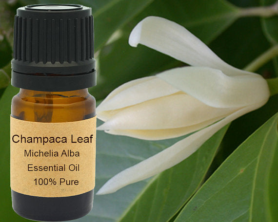 Champaca Leaf Essential Oil  5 ml, 10 ml or 15 ml