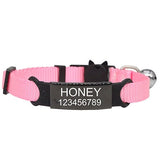 Personalized ID Free Engraving Cat/Dog Collar